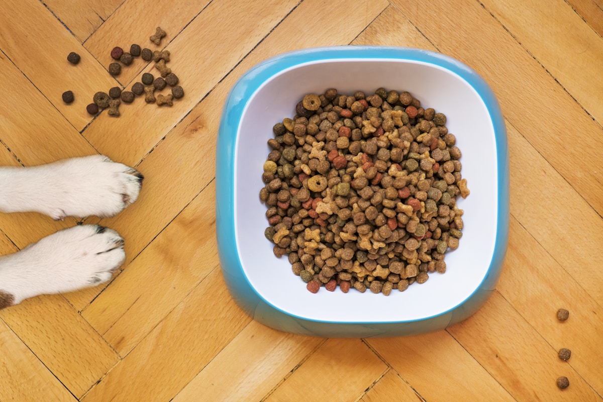 Single-Protein Chicken Cat Sticks