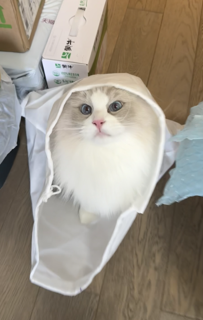 王老酷